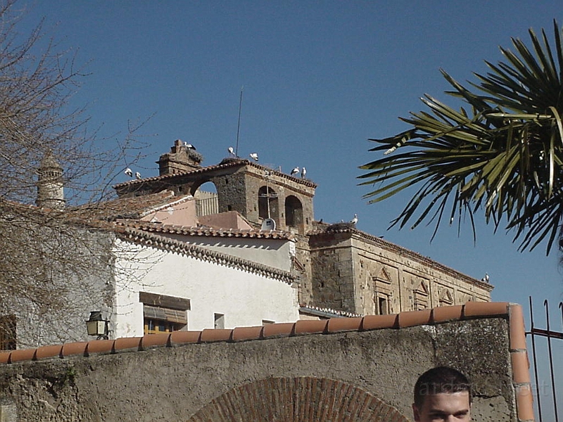 Storks In Caceres.jpg